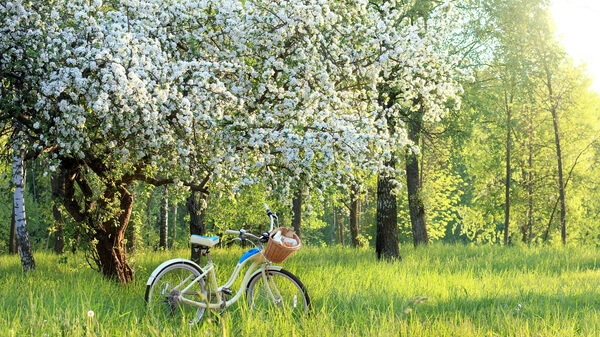 Quando começa a primavera nos Estados Unidos 2023